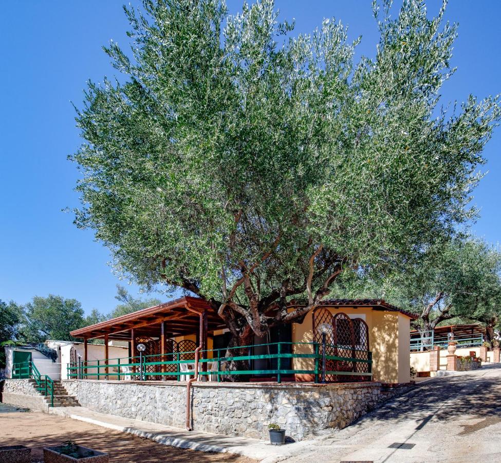 Villaggio Residence Pietra Grigia 卡梅罗塔的码头 外观 照片